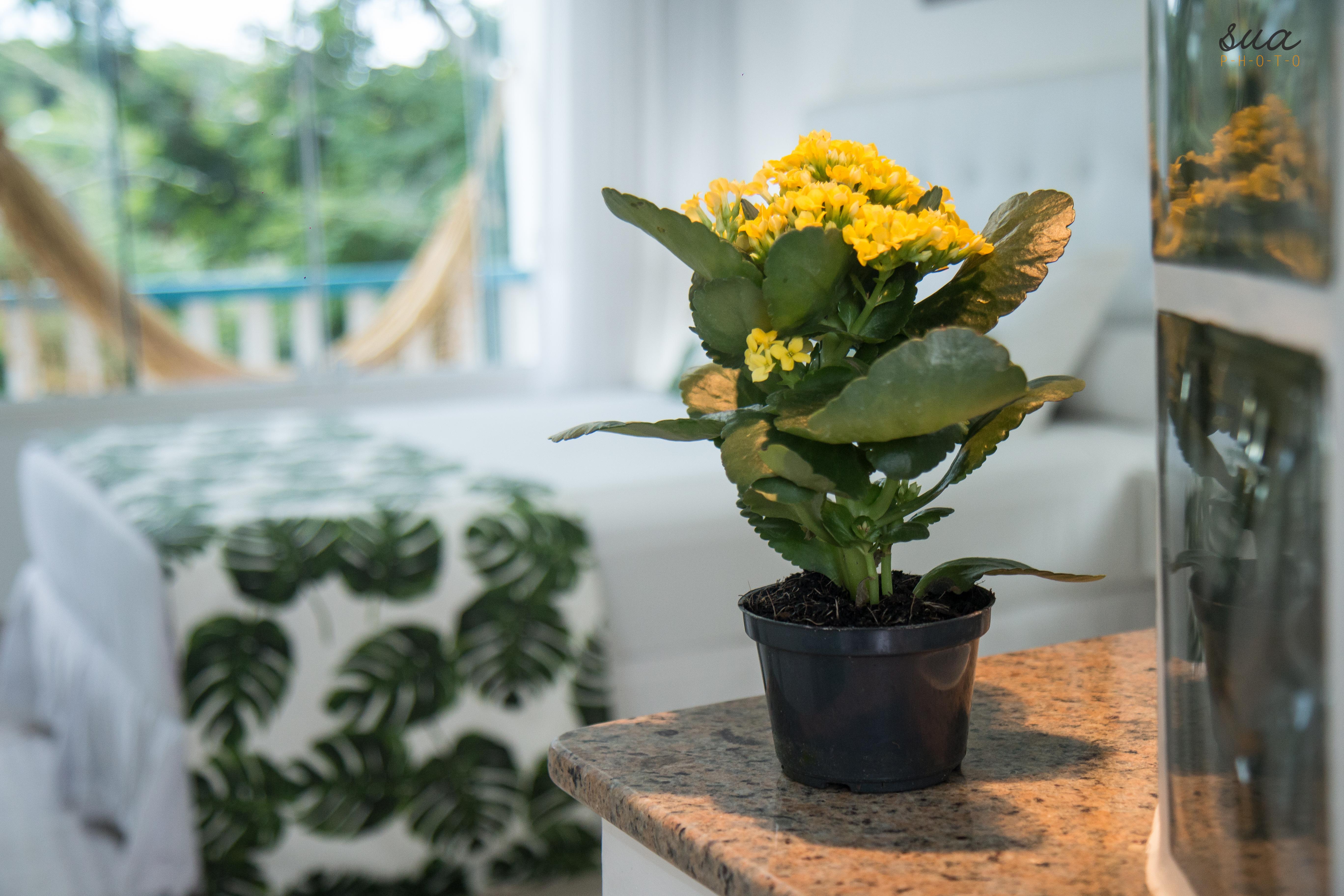 Hotel Miratlantico Buzios エクステリア 写真